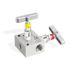 2 Valve Manifolds