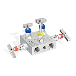 5 Valve Manifolds