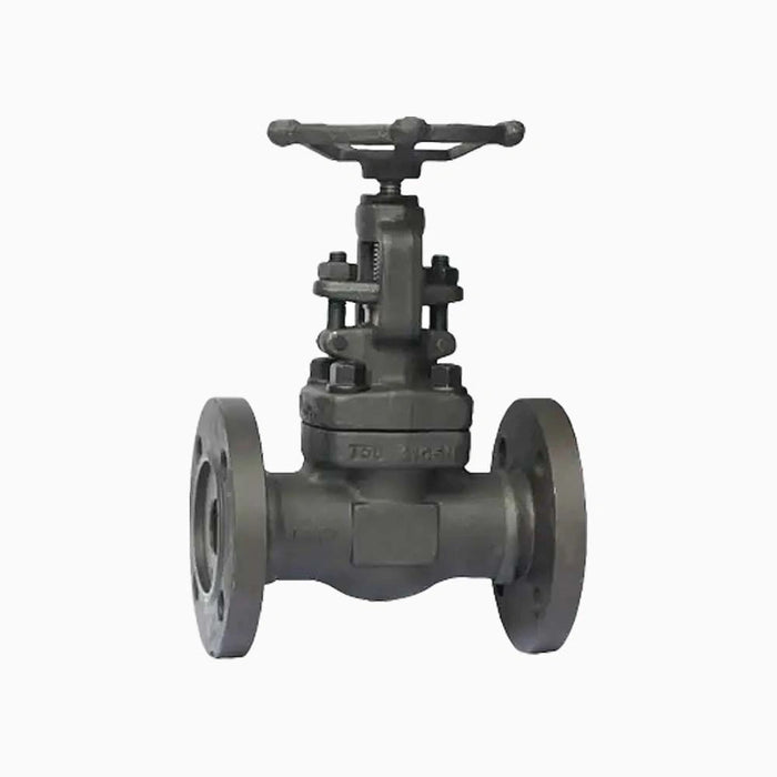 API STD600 ANSI A105 F5 F11 F22 304 304L 316 316L LF2 Forged Steel Globe Valve Stop Valve