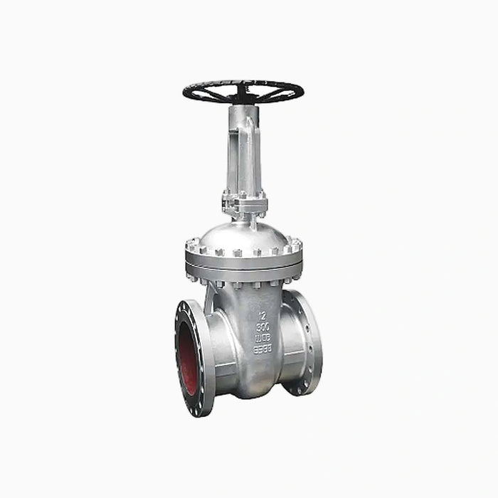 Flexible Wedge Stainless Steel ANSI Standard 150psi Gate Valve