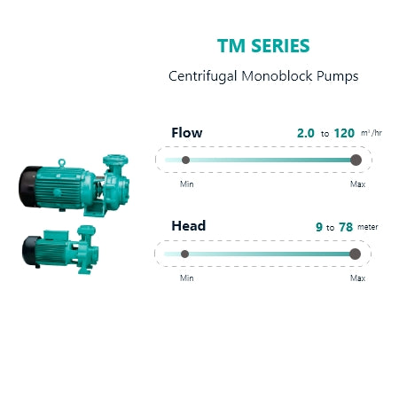 TM Series Centrifugal Monoblock Pumps