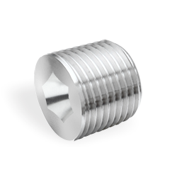 HOLLOW HEX PLUG - (BSPP-M)