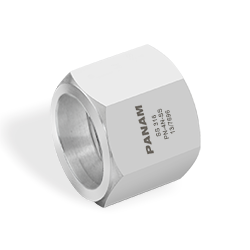 NUTS- SAE 070110 - 37°JIC