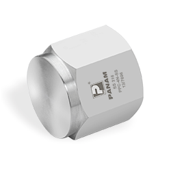 PIPE CAP (BSPP-F)