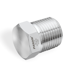 PIPE HEX PLUG (BSPT-M)
