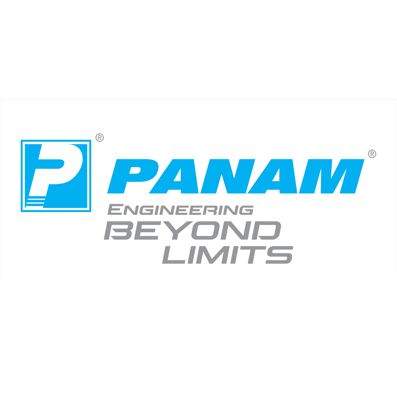PANAM VALVES