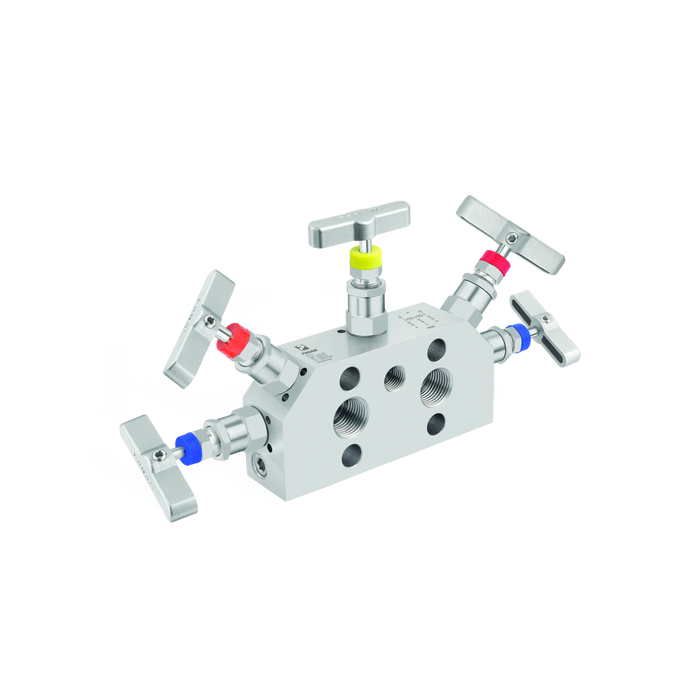 5 Valve Manifolds
