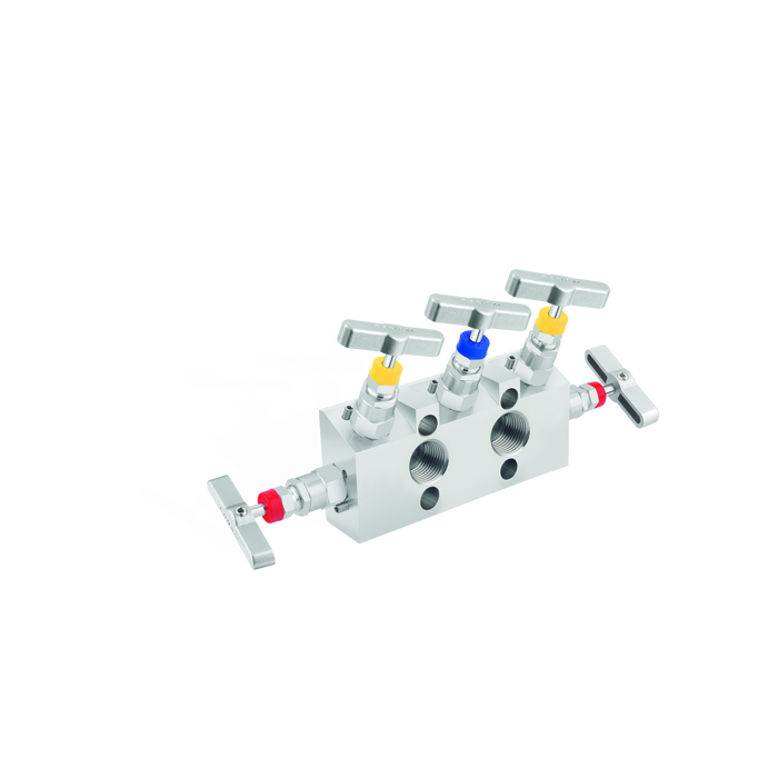5 Valve Manifolds