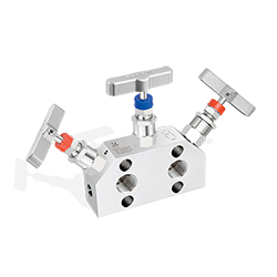3 Valve Manifolds