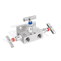 3 Valve Manifolds