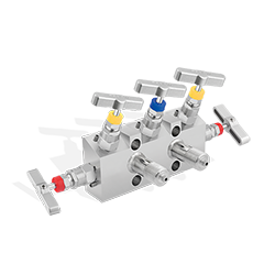 5 Way Valve Manifolds