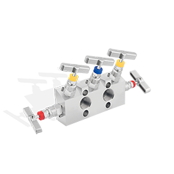 5 Way Valve Manifolds