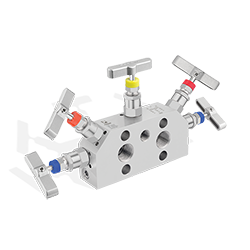 5 Valve Manifolds