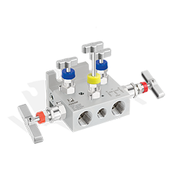 5 Way Valve Manifolds