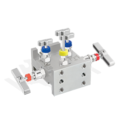 5 Way Valve Manifolds