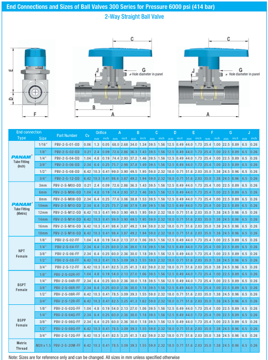 Ball Valve 2 Way 6000 psi