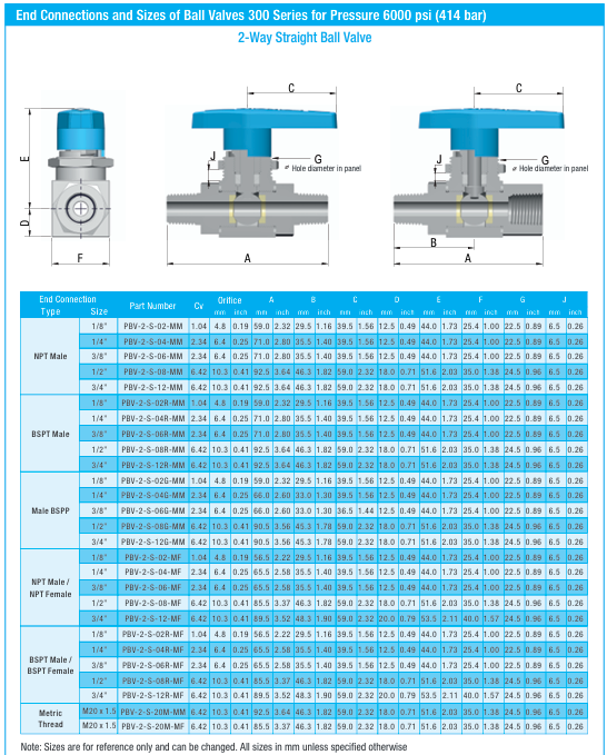 Ball Valve 2 Way 6000 psi