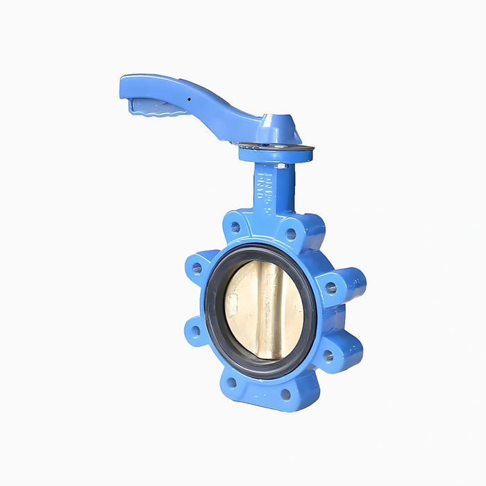 Convex Ear Centerline Butterfly Valve
