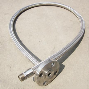 DINGHONG Female/Male Thread x Flange Connection Hose
