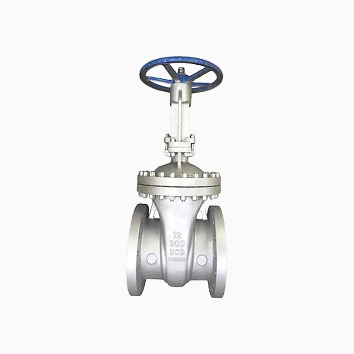 Flexible Wedge Stainless Steel ANSI Standard 150psi Gate Valve