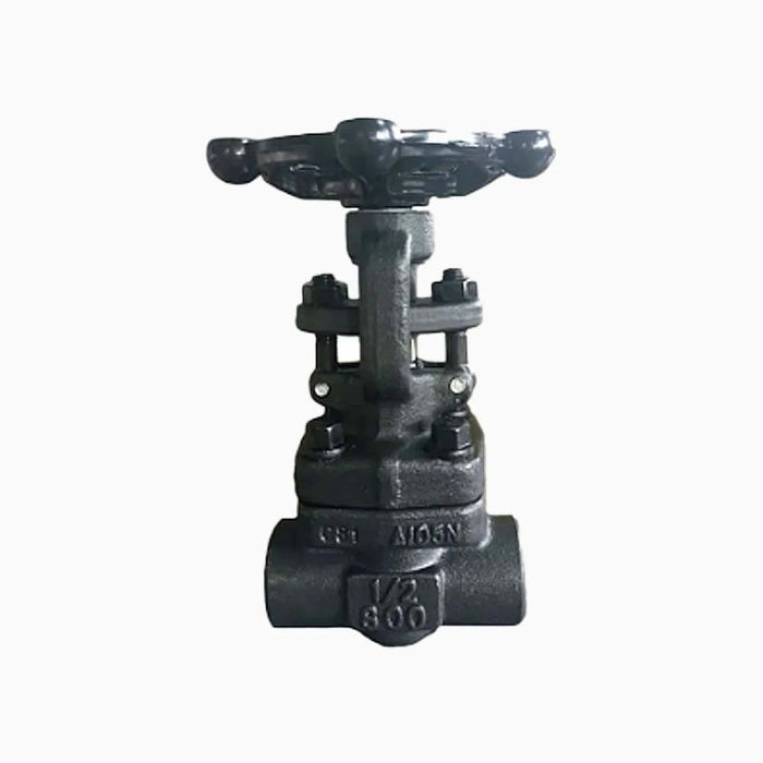 Forged Steel A105N 1” 800LB Butt Weld Gate Valve