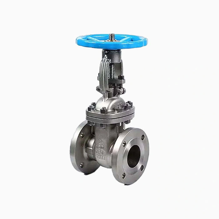Forged Steel F316 2” 150LB RF FLANGE Gate Valve