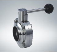 SS 304 DIN Welded Butterfly Valve