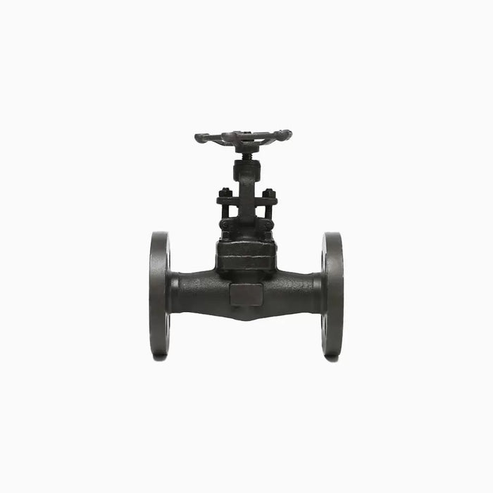 Straight-Pattern Globe Valve