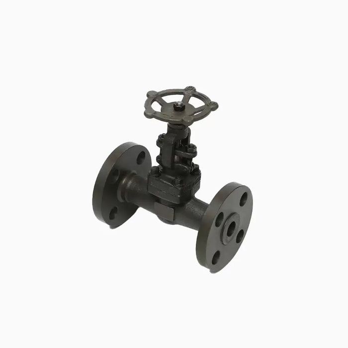 Straight-Pattern Globe Valve