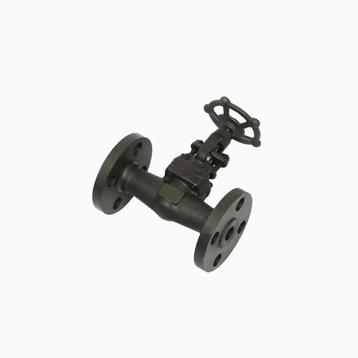 Straight-Pattern Globe Valve