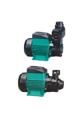 TSP / TEP SERIES Peripheral Pumps