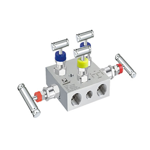 Manifolds Valve