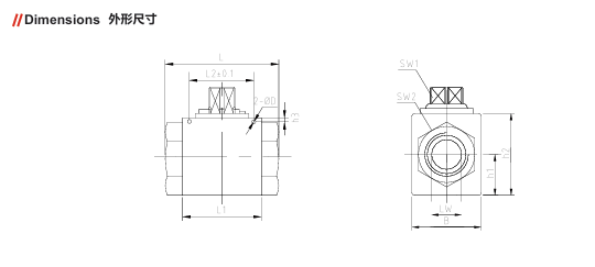 VH2V Series High Pressure Ball Valve